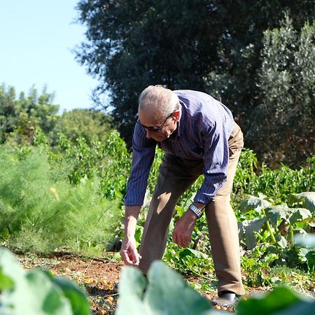 Masseria Grieco Ostuni Zewnętrze zdjęcie