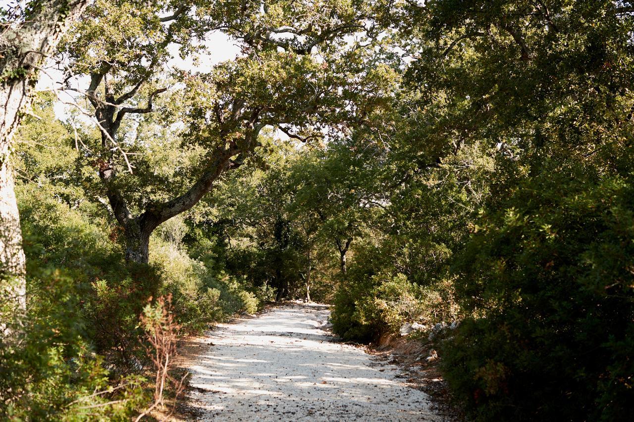 Masseria Grieco Ostuni Zewnętrze zdjęcie